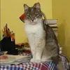 Отзыв от София Туманова